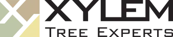 Xylem logo